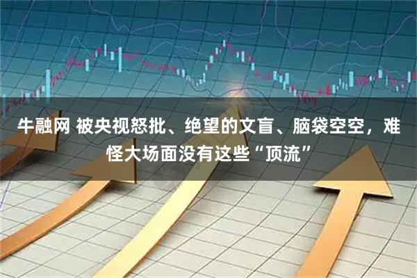 牛融网 被央视怒批、绝望的文盲、脑袋空空，难怪大场面没有这些“顶流”