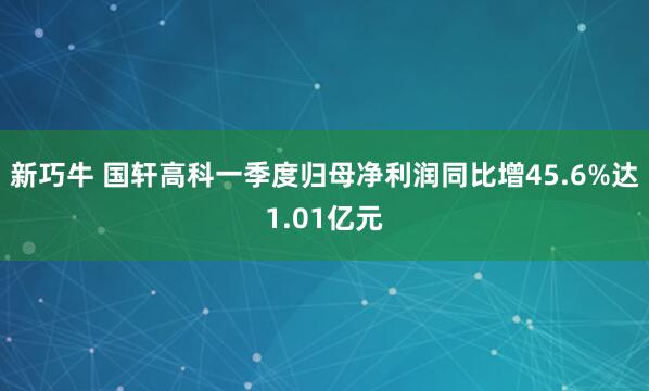 新巧牛 国轩高科一季度归母净利润同比增45.6%达1.01亿元