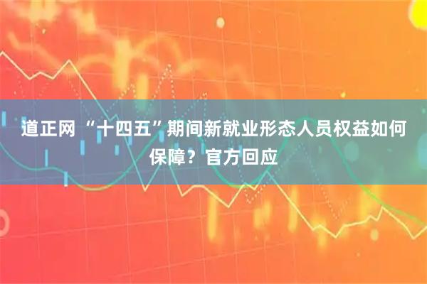 道正网 “十四五”期间新就业形态人员权益如何保障？官方回应