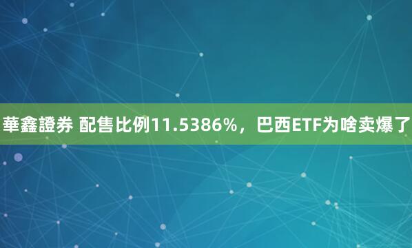 華鑫證券 配售比例11.5386%，巴西ETF为啥卖爆了