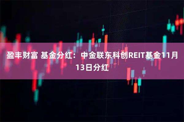 盈丰财富 基金分红:中金联东科创REIT基金11月13日分红