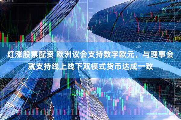 红涨股票配资 欧洲议会支持数字欧元，与理事会就支持线上线下双模式货币达成一致